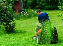 Kwikfynd Lawn Mowing
munni