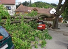 Kwikfynd Tree Cutting Services
munni
